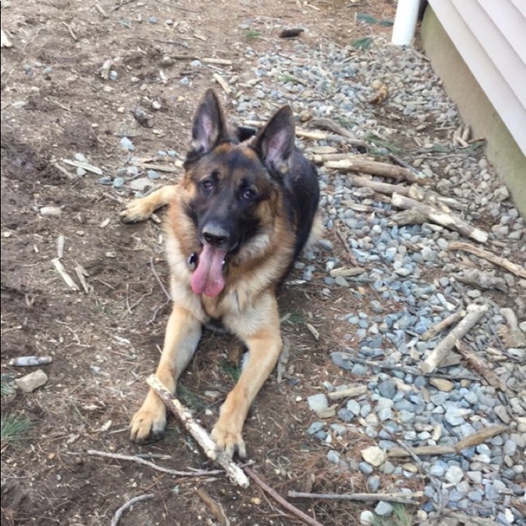 Meet your Posher, Colleen - Picture 1 of 1